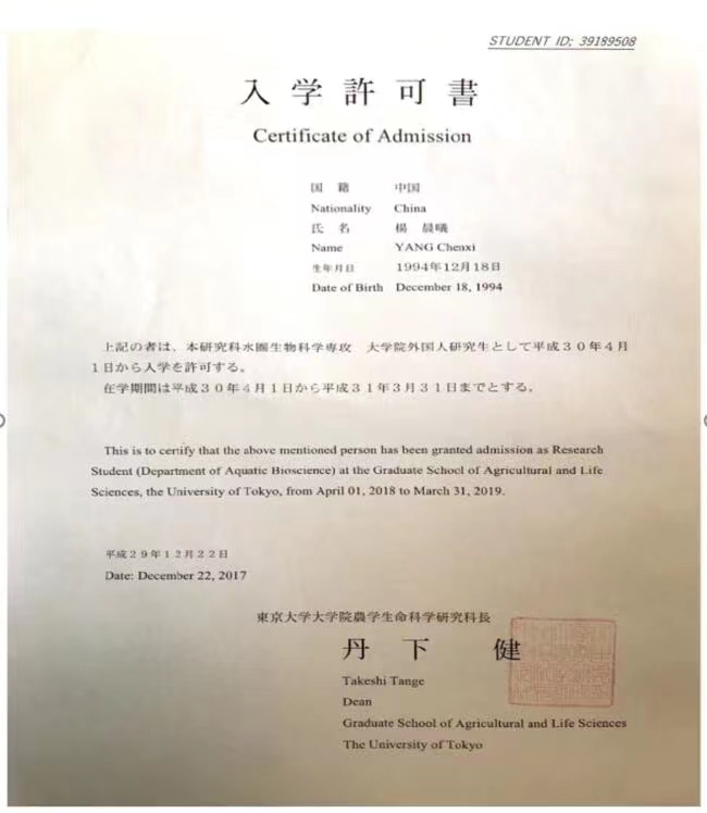 优秀案例